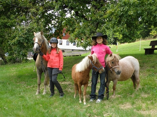 Koně s dětmi u penzionu